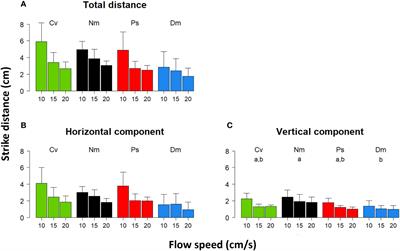 Capture of zooplankton by site-attached fish: striking dynamics under different flow speeds and prey paths